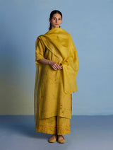 Para Hand-Embroidered Linen Kurta Set - Ochre