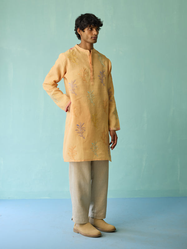 Haruto Hand-Embroidered Floral Kurta Set - Apricot