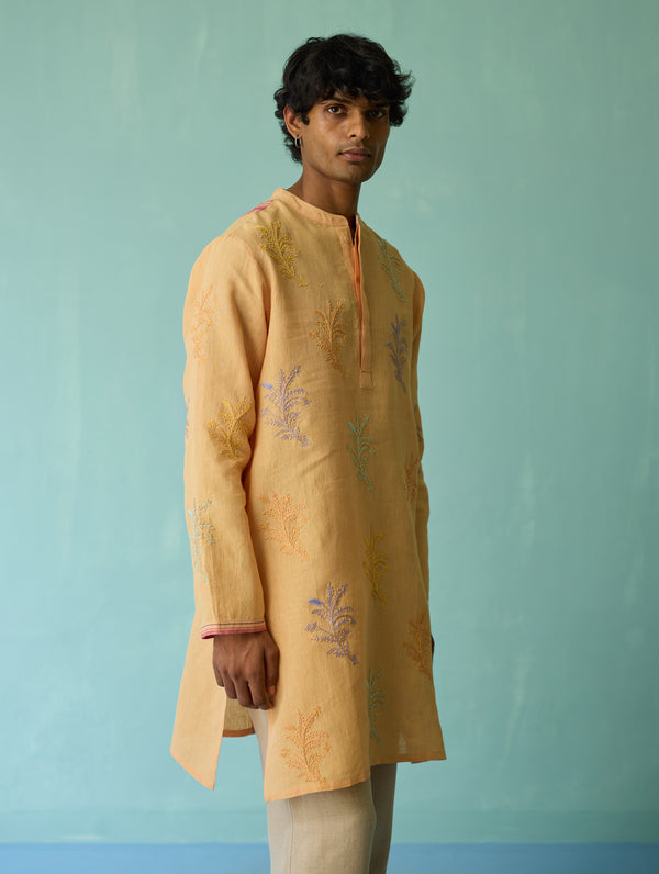 Haruto Hand-Embroidered Floral Kurta - Apricot
