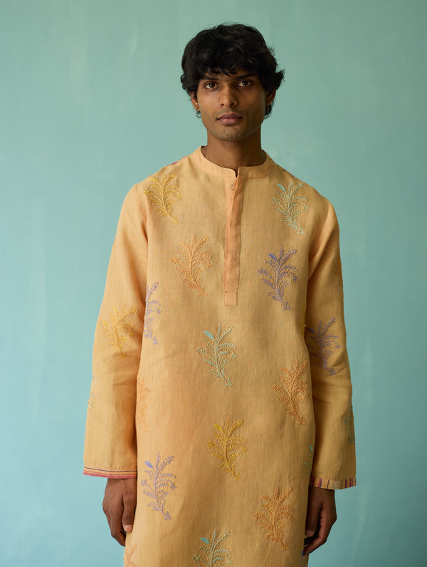 Haruto Hand-Embroidered Floral Kurta - Apricot
