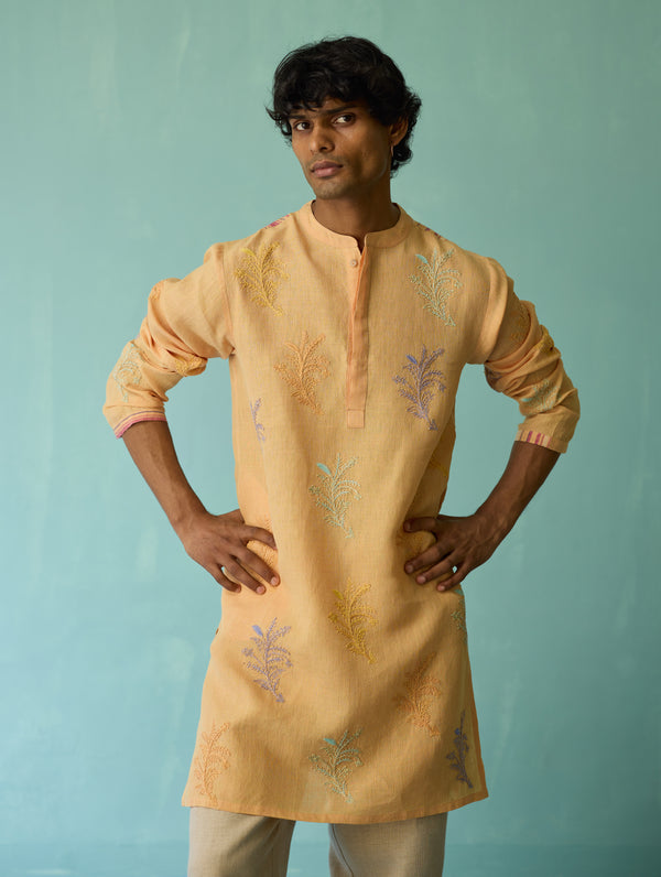 Haruto Hand-Embroidered Floral Kurta - Apricot