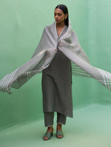 Rena Hand-Embroidered Linen Kurta Set - Grey