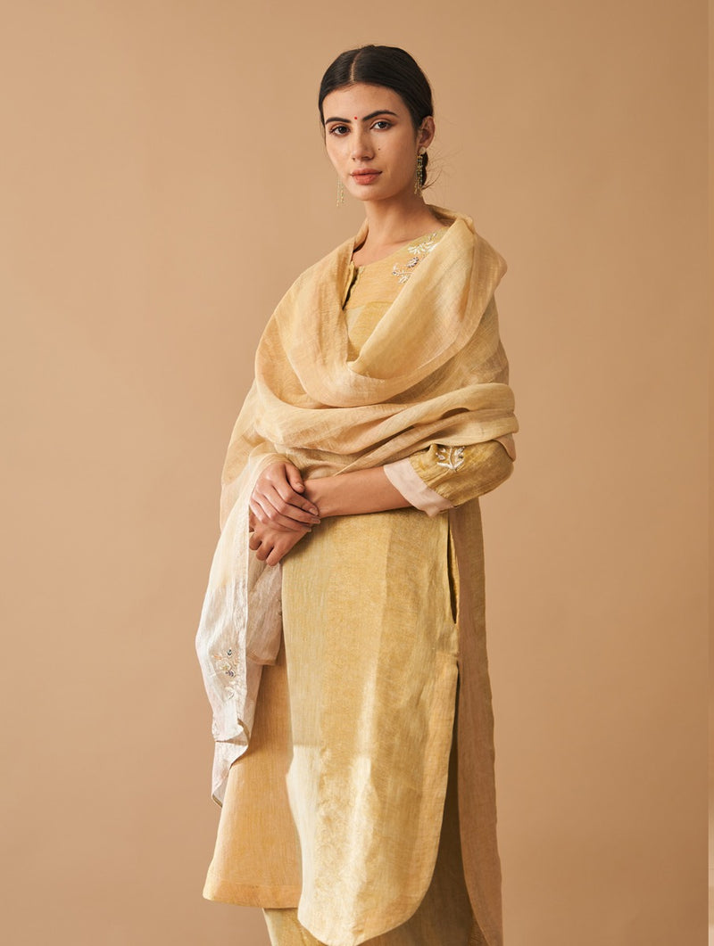Kaya Embroidered Kurta Set with Dupatta