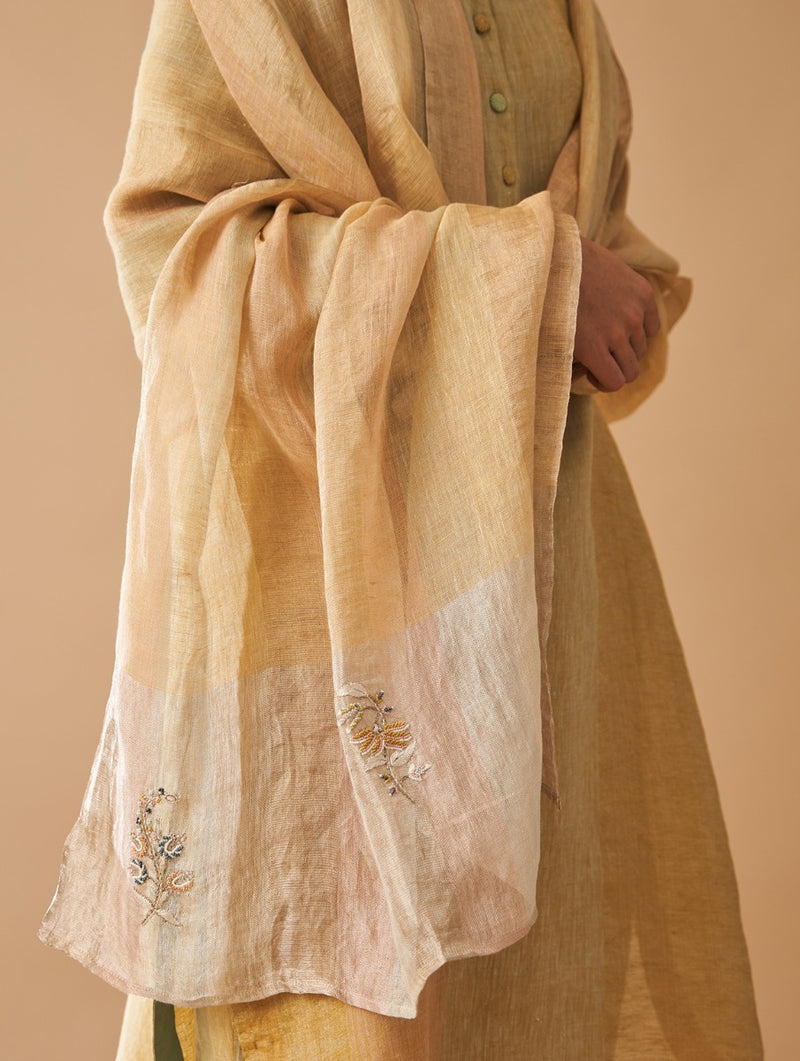 Kaya Embroidered Kurta Set with Dupatta